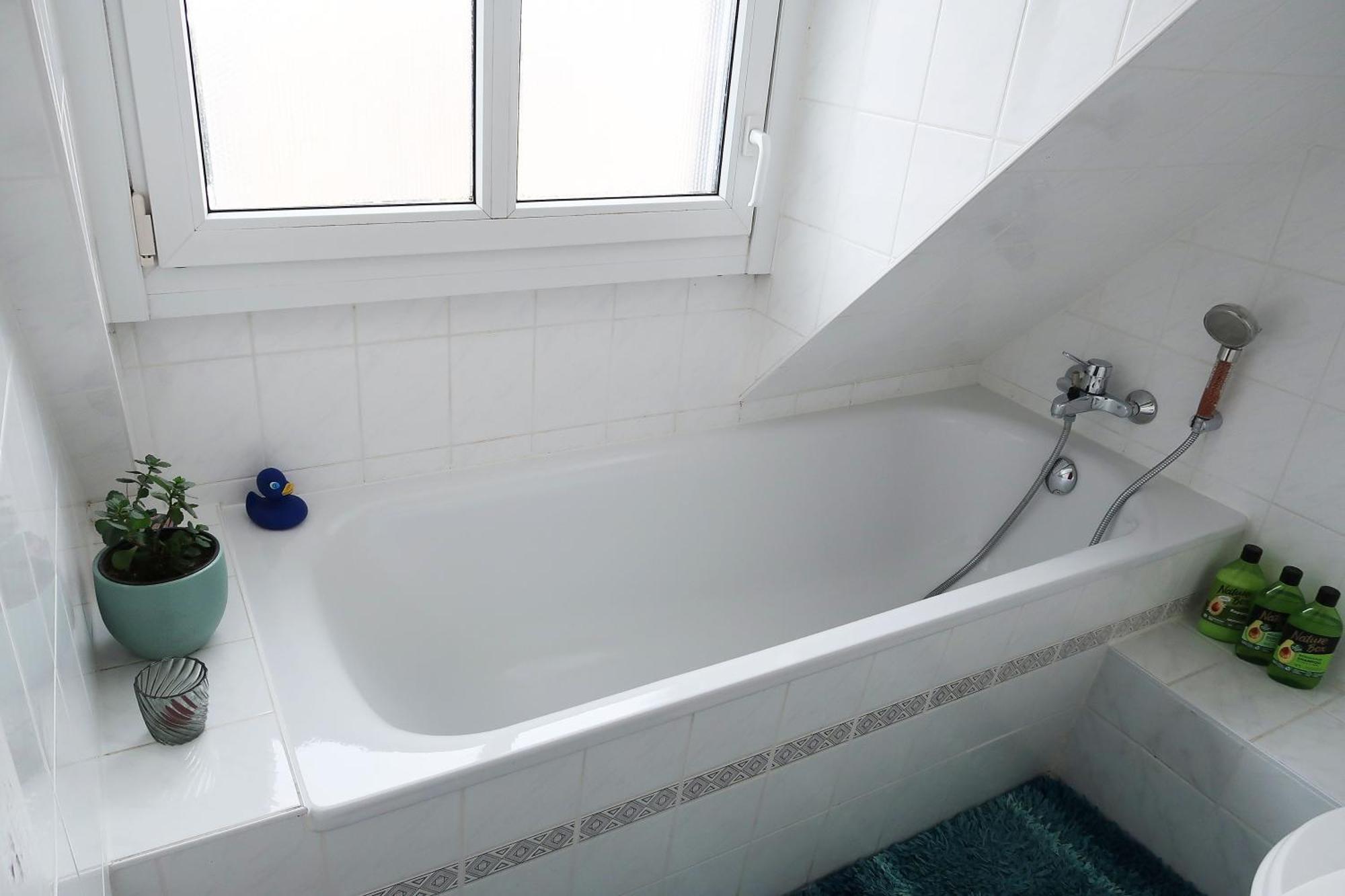 Apartment Kleines Am Uni-campus - Perfekt Fuer Junge Unternehmungslustige Dresden